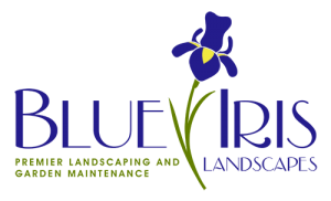 Blue Iris Landscapes Logo