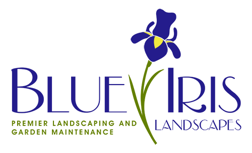 Blue Iris Landscapes Logo