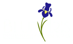 cropped-white-blue-iris-logo webp | Blue Iris Landscapes Logo with a blue iris flower growing through the white text 'BLUE IRIS'.