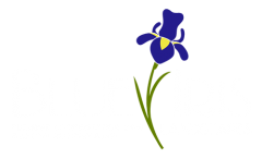 Blue Iris Landscapes