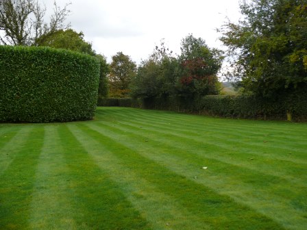 Garden maintenance in Stoke