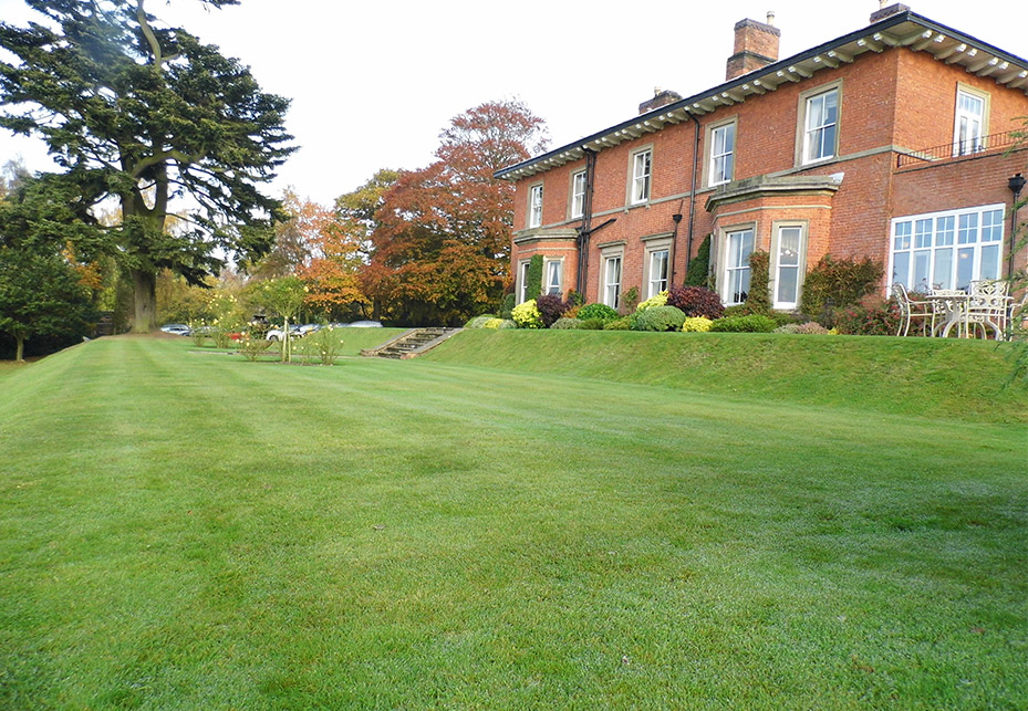 groundscare commercial maintenance generic | Blue Iris Landscapes groundscare commercial maintenance generic