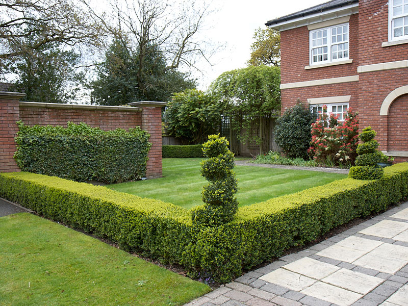 Image 3 Hedge-cutting-stoke-on-trent