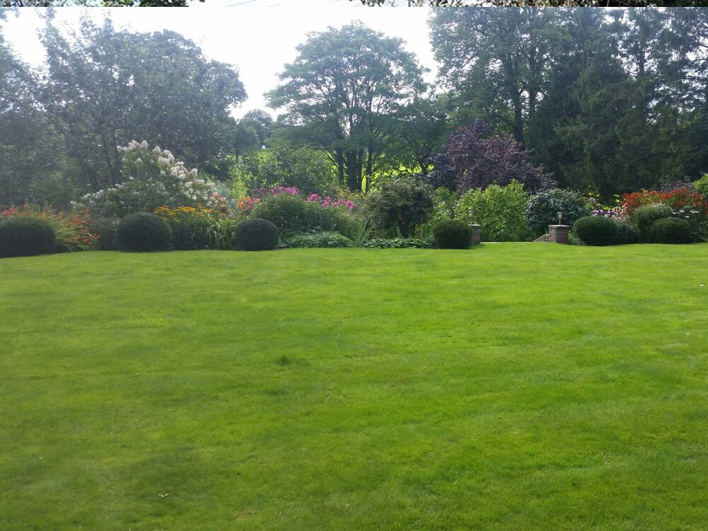 Professional Gardener in Longton