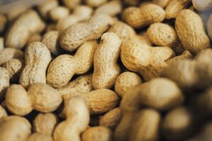 peanuts are one of the best winter food for birds